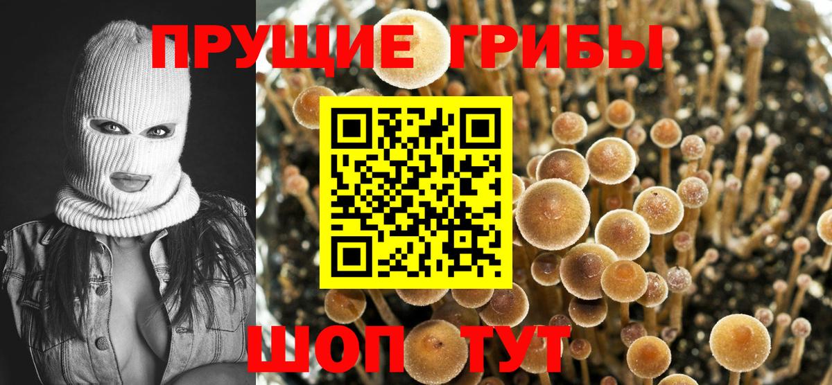 Галлюциногенные грибы мицелий  Вход с VPN  купить наркоту  Кулебаки 
