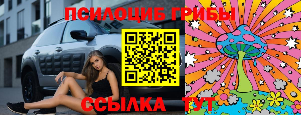 Галлюциногенные грибы GOLDEN TEACHER Кулебаки